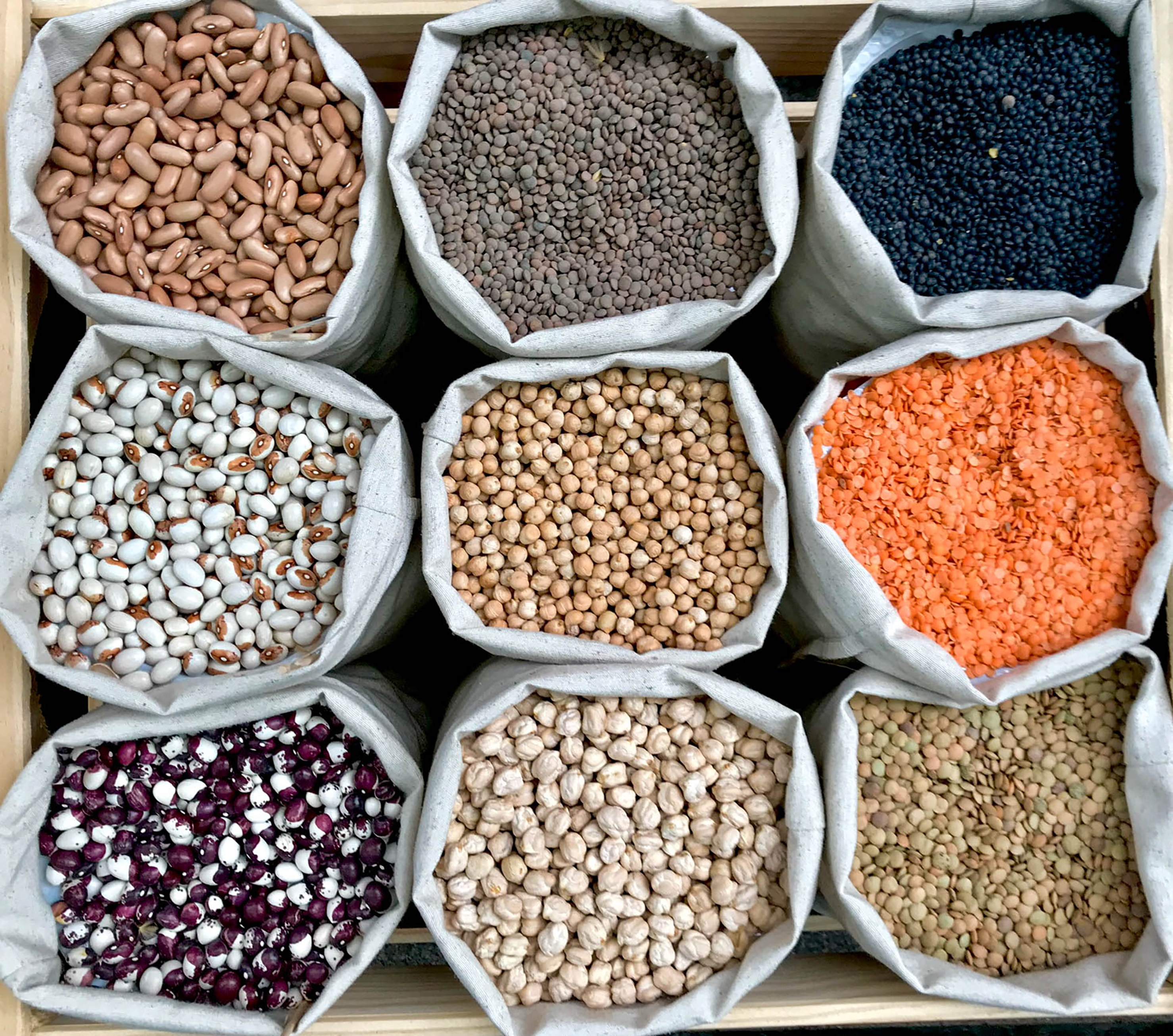 Pulses & Lentils